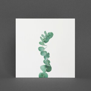 Eukalyptus Karte, Botanische Grußkarte - Eucalyptus III
