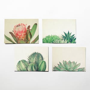 Botanical Postcards, Dad Gift, Writing Gifts - Botanicals