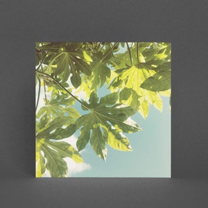 Feigenbaum Karte, botanische Grußkarte - Feigenblätter