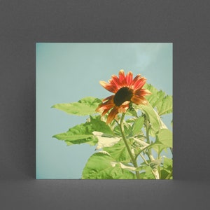 Sonnenblume Grußkarte, Blumenkarte - Sunshine