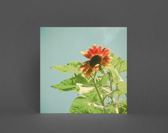 Sunflower Greeting Card, Floral Card - Sunshine
