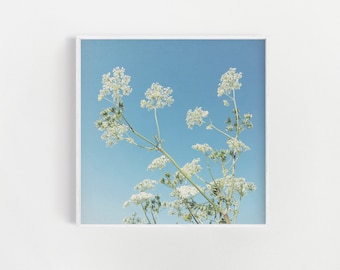 Modern Home Decor, Large Wall Art, Floral Photography, Blue Wall Art - Whisper