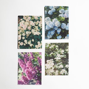 Flower Postcards Set, Writing Gifts, Gardening Gifts - Spring is Here