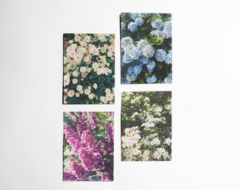 Flower Postcards Set, Writing Gifts, Gardening Gifts - Spring is Here