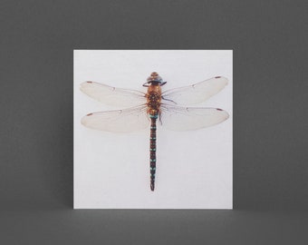 Carte de vœux libellule, carte nature - Dragonfly