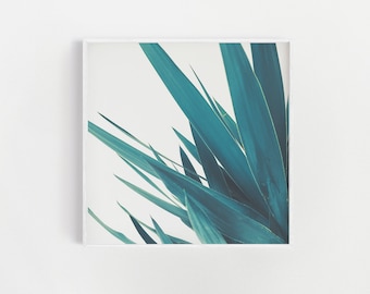 Blue Wall Art, Leaf Art, Botanical Print, Art for Men - Yucca Leaves II