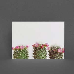 Cactus Wenskaart, Botanische Kaart - Drie Bloeiende Cactussen