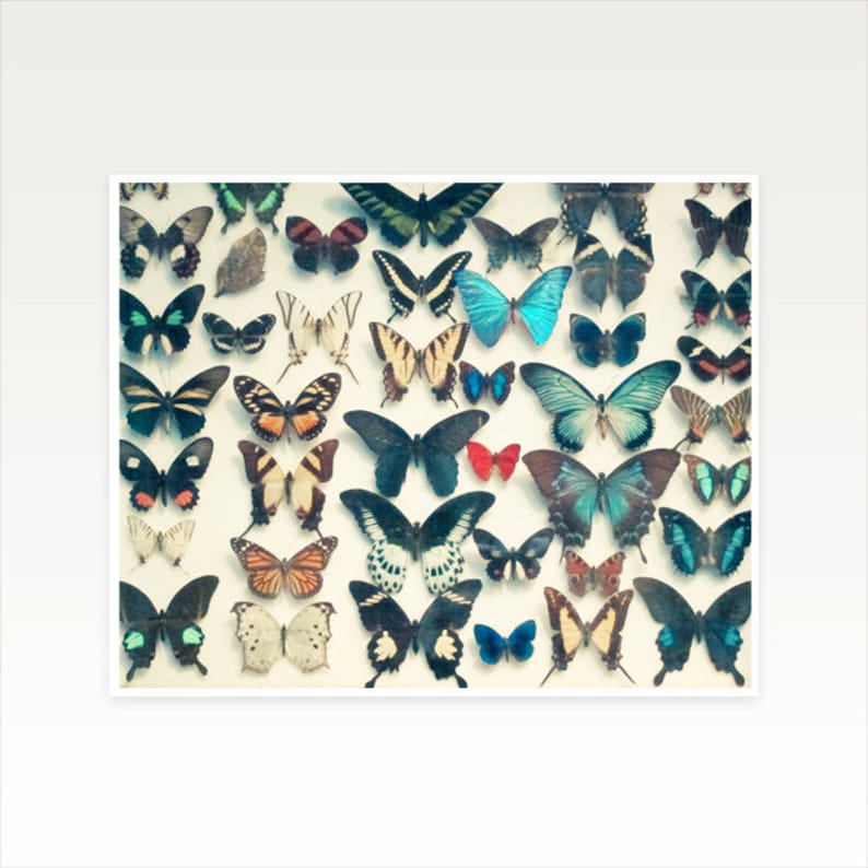 Butterfly Print, Bedroom Wall Decor, Butterfly Decor Wings image 3
