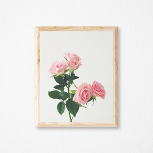 Bedroom Wall Decor, Flower Wall Art, Pastel Pink Decor, Large Wall Art Spring Roses image 4