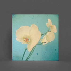 Flower Greeting Card, Orchid Card True Blue image 1