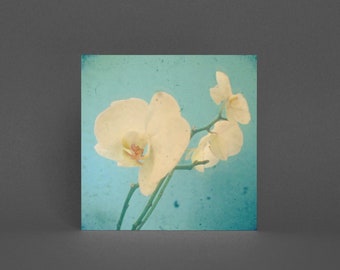 Flower Greeting Card, Orchid Card - True Blue