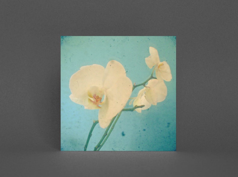 Flower Greeting Card, Orchid Card True Blue image 1