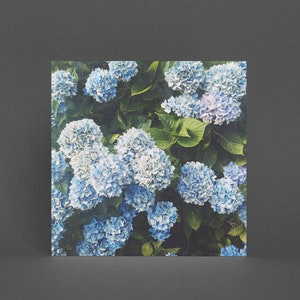 Bloemen wenskaart, hortensiakaart - blauwe hortensia