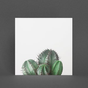 Botanische kaart, Cactus Wenskaart - Afrikaans melkvat