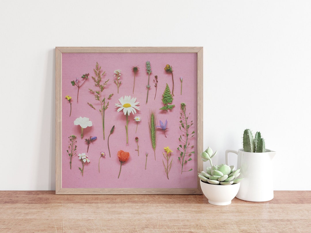 Wildflower Print, Botanical Nature Wall Art With Pink Background - Wild ...