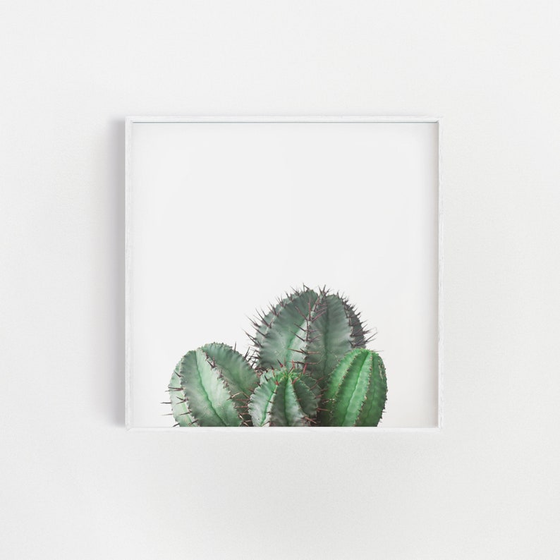 Cactus Print, Botanical Art, Cactus Wall Decor, Kitchen Wall Art African Milk Barrel image 1