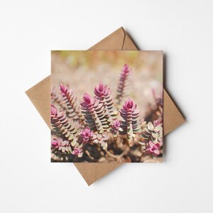 Tarjeta de felicitación botánica, tarjeta con plantas - Hebe
