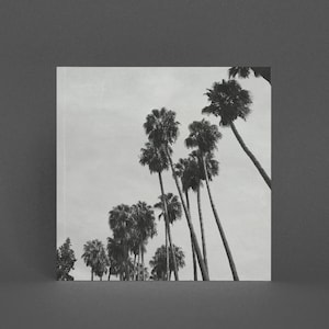 Palmen Karte, Schwarz-Weiß Fotografie Karte - Palmen Schatten