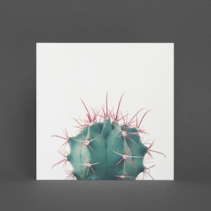 Botanische kaart, Cactus Wenskaart - Ferocactus