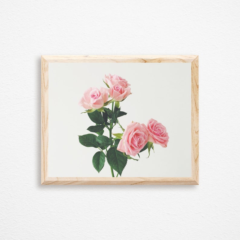 Bedroom Wall Decor, Flower Wall Art, Pastel Pink Decor, Large Wall Art Spring Roses image 6