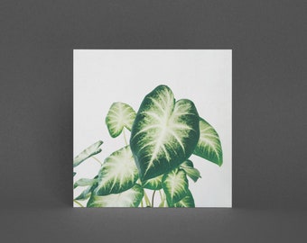 Plant Greeting Card, Botanical Card - Cluster of Leaves