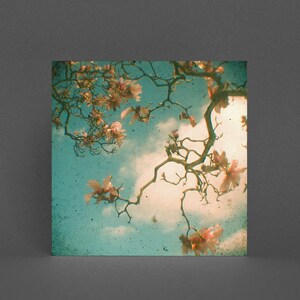 Wenskaart met donkere bloemen - Magnolia Falls