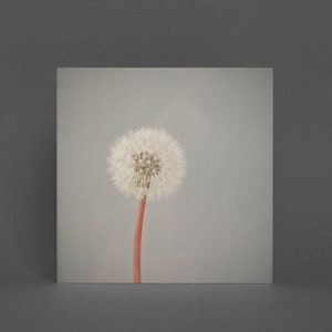 Florale Grußkarte, Pusteblume Uhr Kunst - Das Vergehen der Zeit
