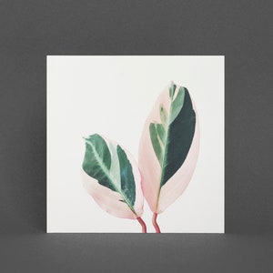 Botanische kaart, plant wenskaart - roze bladeren I