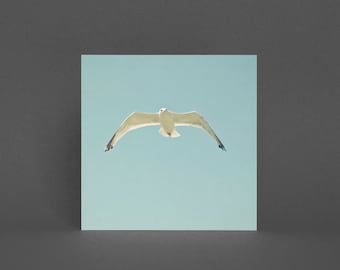 Bird Greeting Card - Seagull