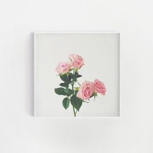 Bedroom Wall Decor, Flower Wall Art, Pastel Pink Decor, Large Wall Art Spring Roses image 1