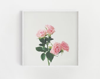 Bedroom Wall Decor, Flower Wall Art, Pastel Pink Decor, Large Wall Art - Spring Roses