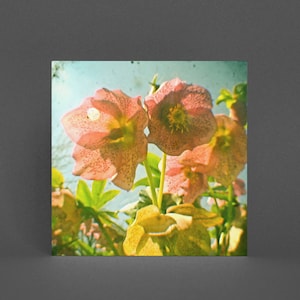 Florale Grußkarte, rosa Blumenkarte - Sommersprossen