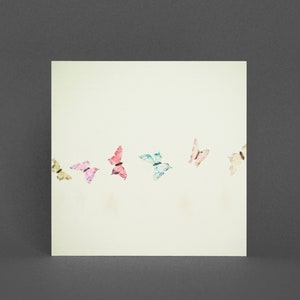 Carte de Voeux Papillon - Imagination