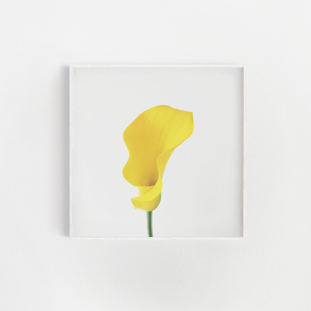 Floral Wall Art, Yellow Flower Print, Minimal Flower Print Yellow Calla
