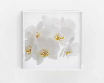 White Wall Art, Botanical Print, Gift for Her, Kitchen White Decor - Pure
