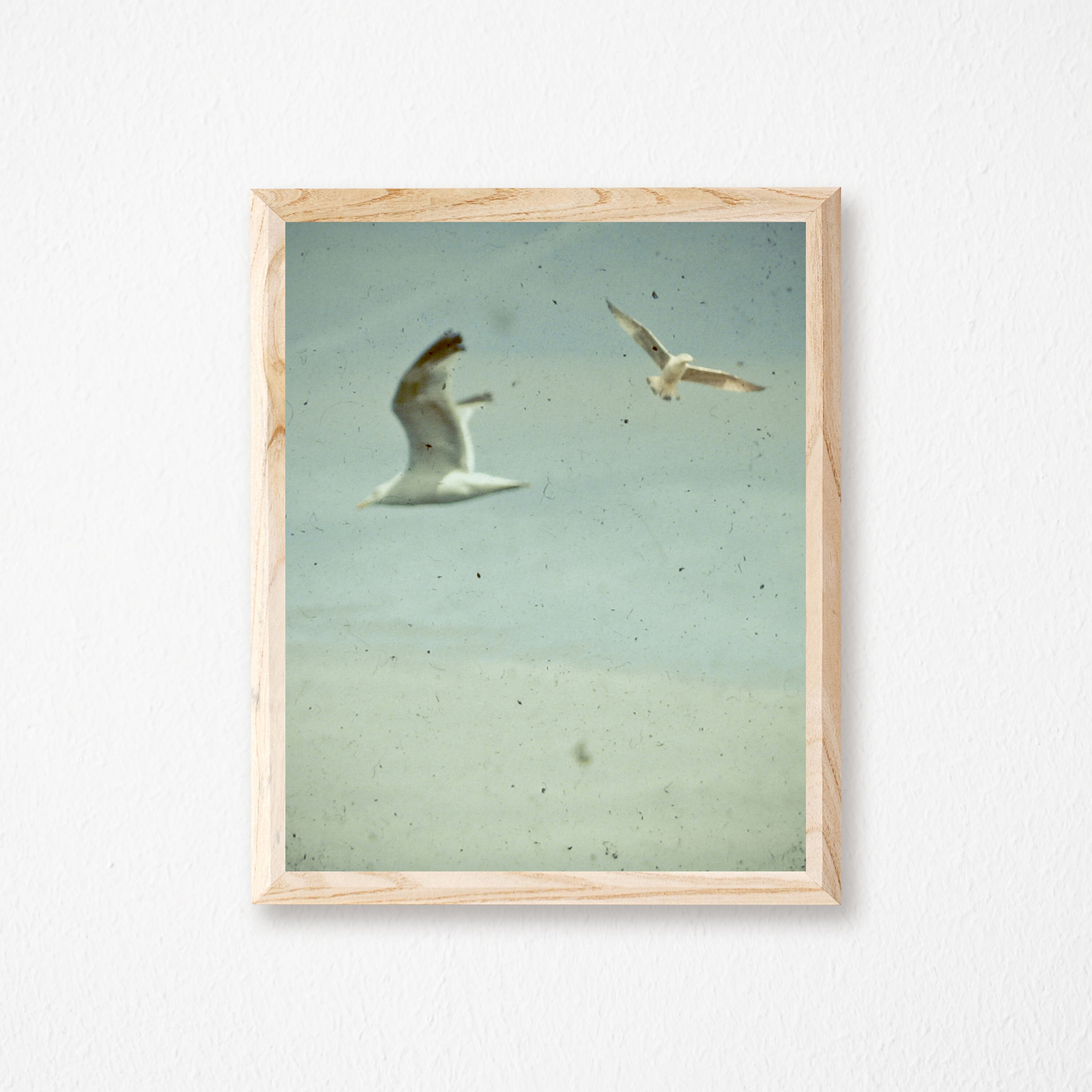 Bird Print, Coastal Wall Art, Beach House Decor - Gulls - Etsy