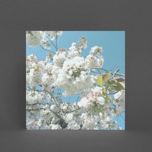 Blüten Grußkarte, Blumenkarte - Spring Blooms