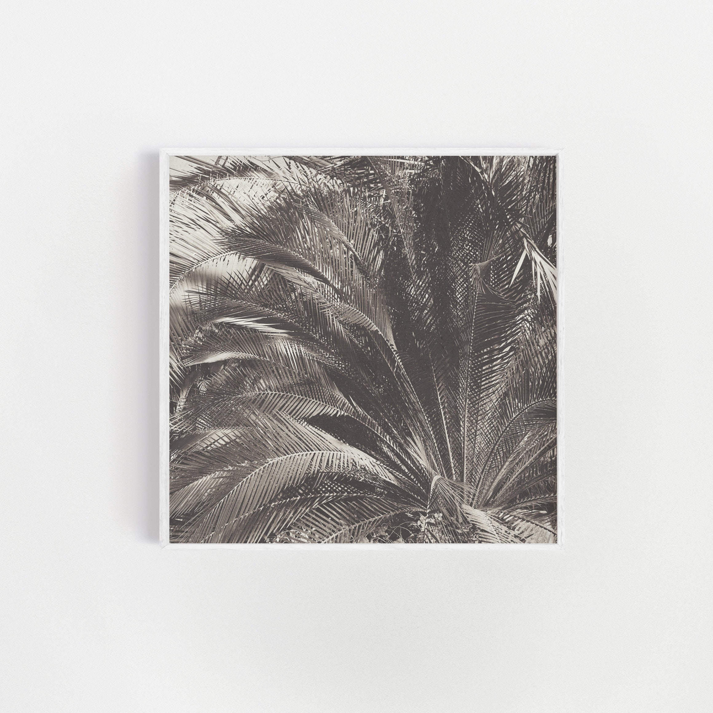 Black and White Palm Tree Print, Botanical Wall Art - Jungle - Etsy