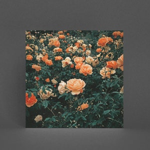 Tarjeta de felicitación de flores, tarjeta floral - Bosque de rosas