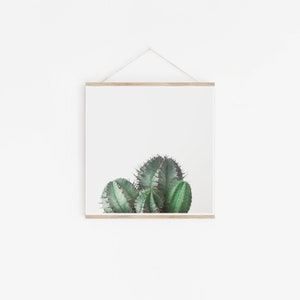 Cactus Print, Botanical Art, Cactus Wall Decor, Kitchen Wall Art African Milk Barrel image 2