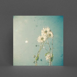 Carte de vœux florale, Daisy Card - La famille Daisy