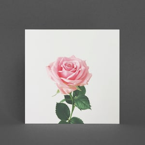 Bloemen Wenskaart - Spring Rose