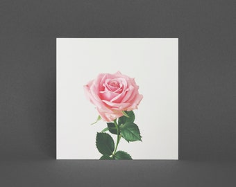 Floral Greeting Card - Spring Rose