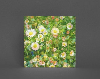 Daisy Greeting Card, Floral Card - After the Rain