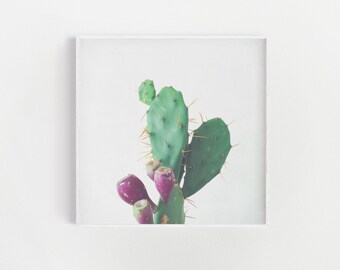 Cactus Print, Botanical Wall Art, Plant Prints - Prickly Pear