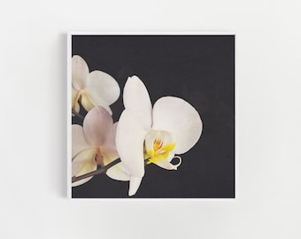 Orchid Print, Dark Floral Art - Black and White Orchid