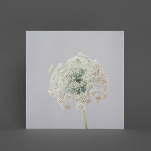 Minimal Flower Card, Floral Greeting Card - Rustig