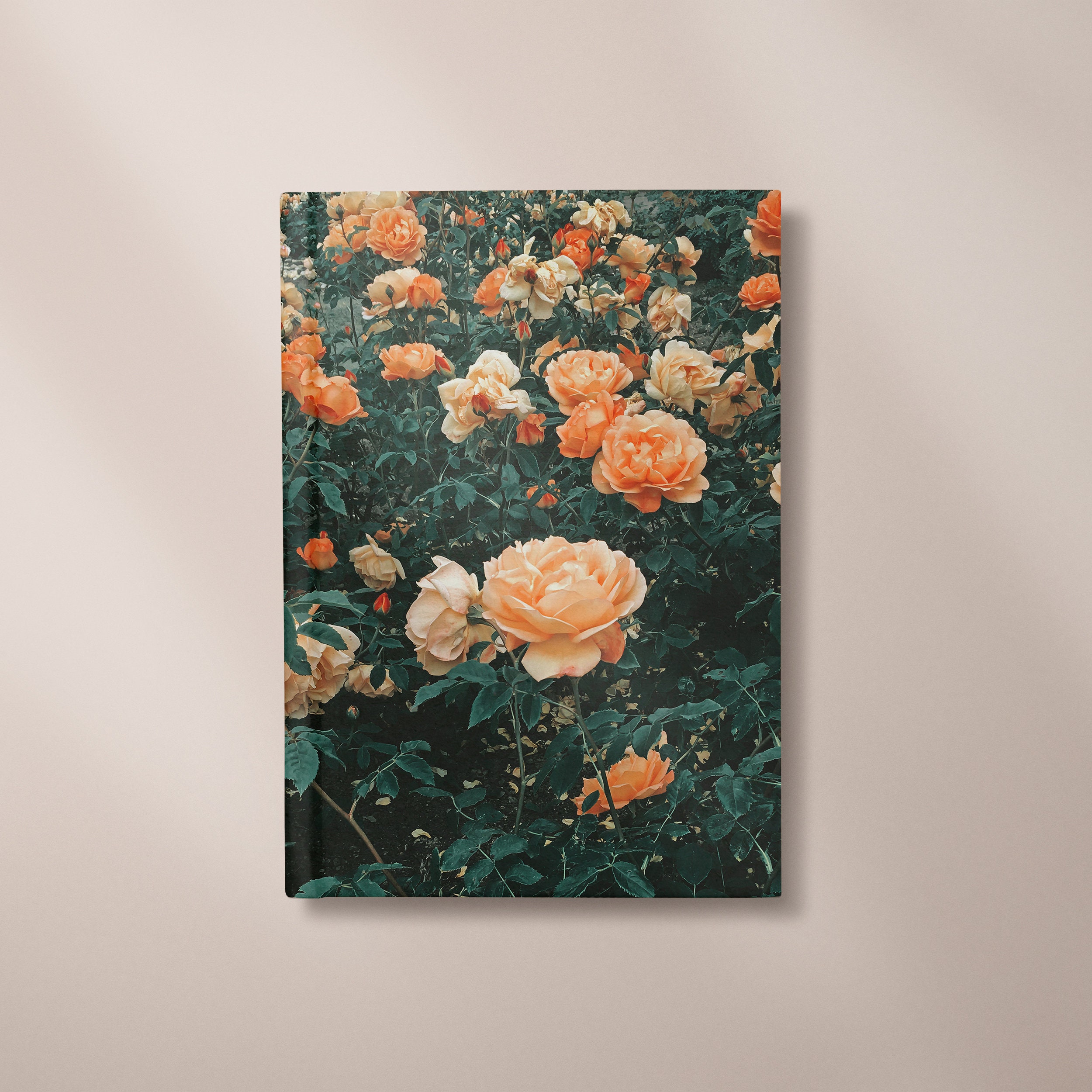 CassiaBeck - Etsy
