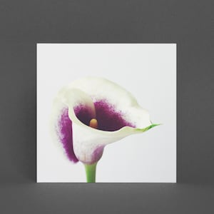 Purple Flower Card, Floral Greeting Card - Calla Lily