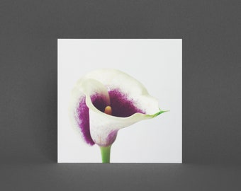 Purple Flower Card, Floral Greeting Card - Calla Lily